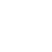PRETTY BRAVE (NZ)