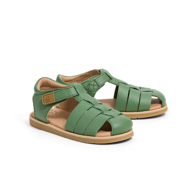 ROCCO Grass