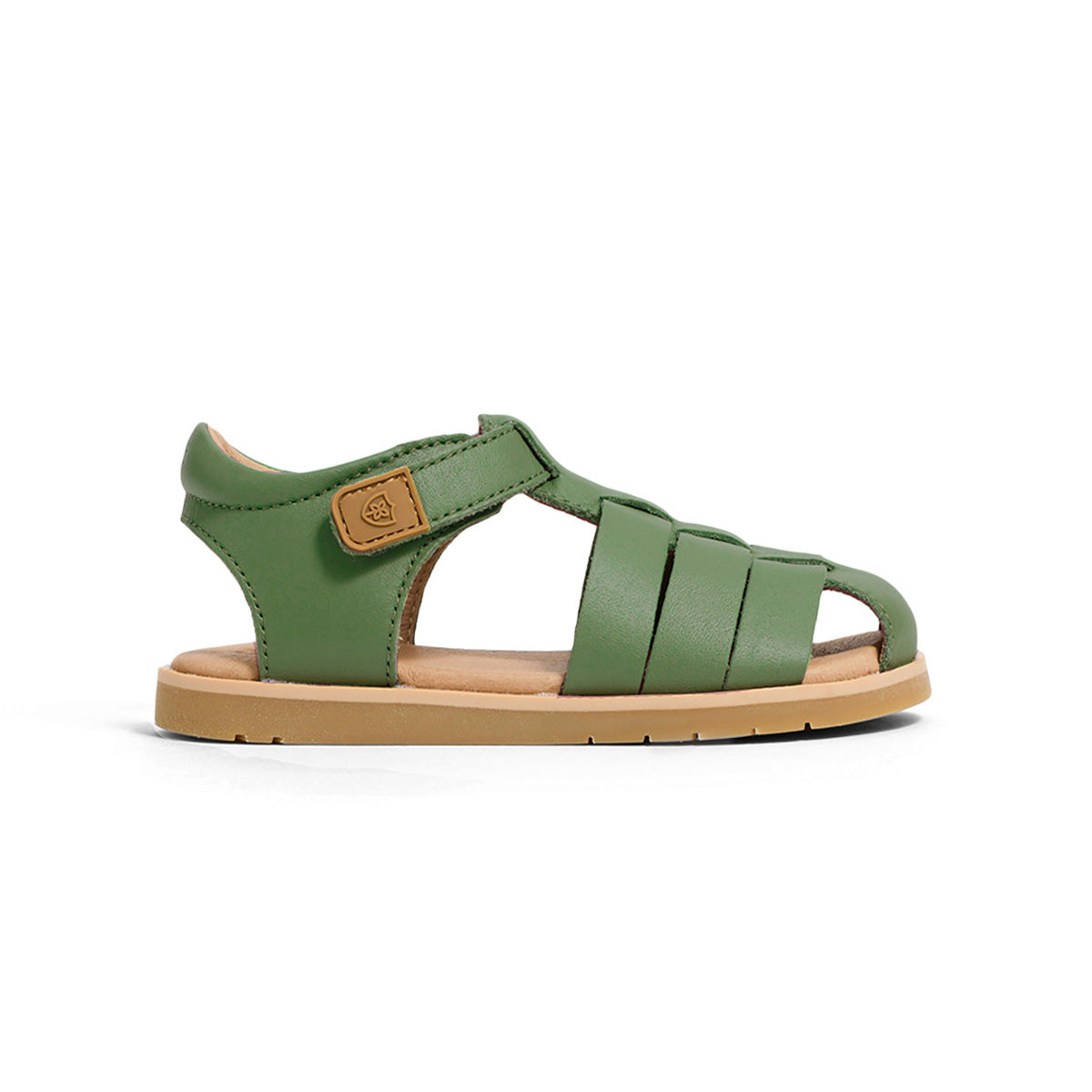 ROCCO Grass