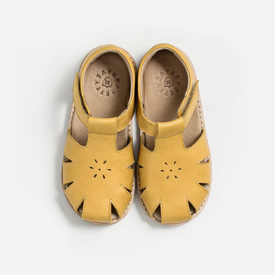 Top view of Macy T-Bar shoes in honey colour